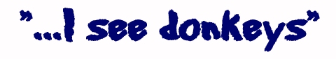 I SEE DONKEYS